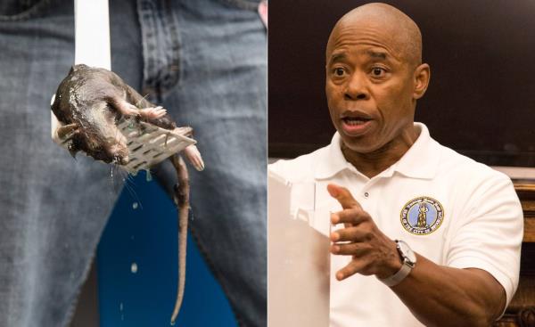 After overseeing a pilot program that caught and killed more than 90 rats around Brooklyn Borough Hall over the summe, Borough President Eric Adams is calling on the city to develop a comprehensive plan to fight what he called the city’s “pervasive” rat “infestation.” September 5, 2019. Brooklyn, NY.